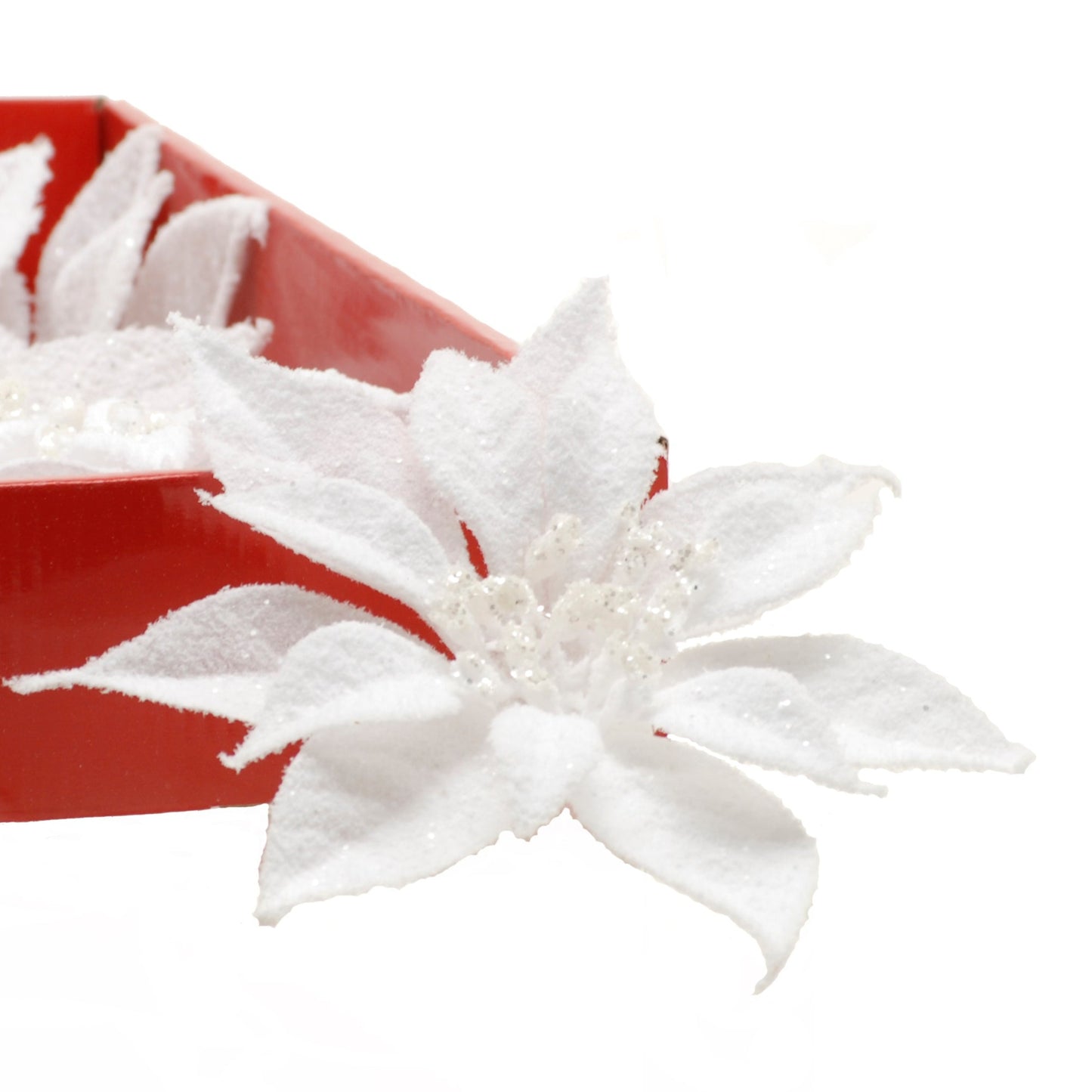 White Snowy Christmas Poinsettia Clip