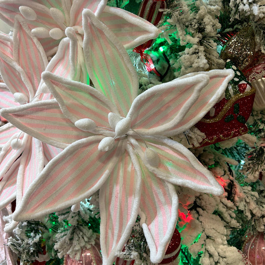 Pink and White Stripe Christmas Poinsettia Stem 40cm