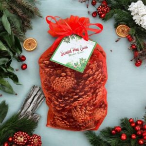 Mixed Spice Scented Pinecones Bag