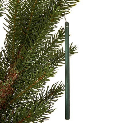 Scentsicles White Winter Fir