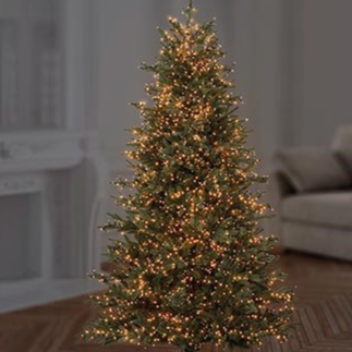 Premier TreeBrights 1500 Vintage Gold LED Christmas String Lights