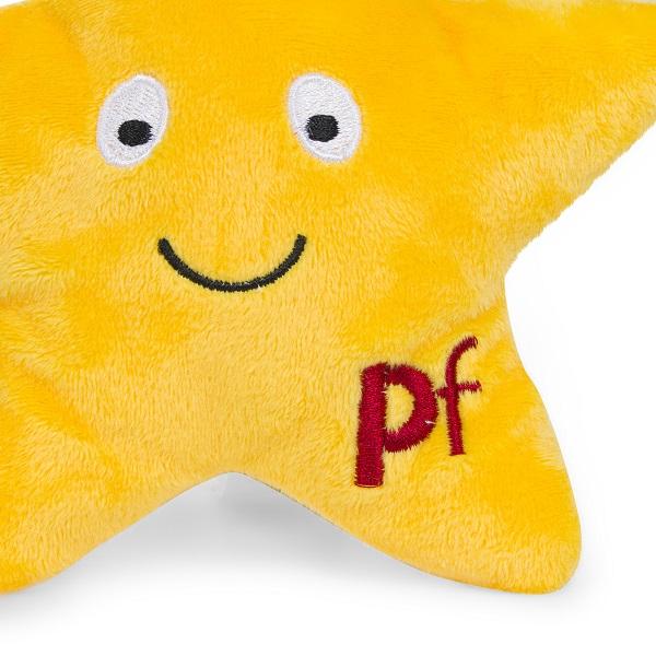 Christmas Plush Star Dog Toy